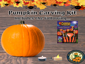 Premium Pumpkin Carving Kit