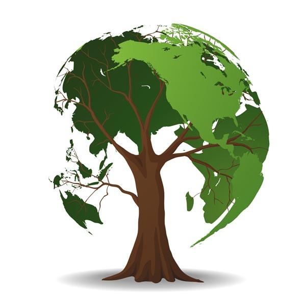 TREE ADD ONS - North Palm Beach